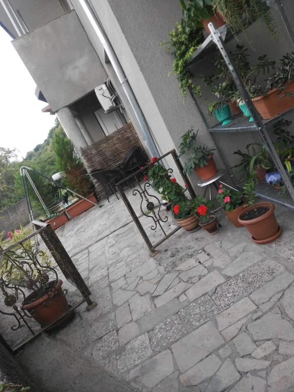 Guest House Vista room 5